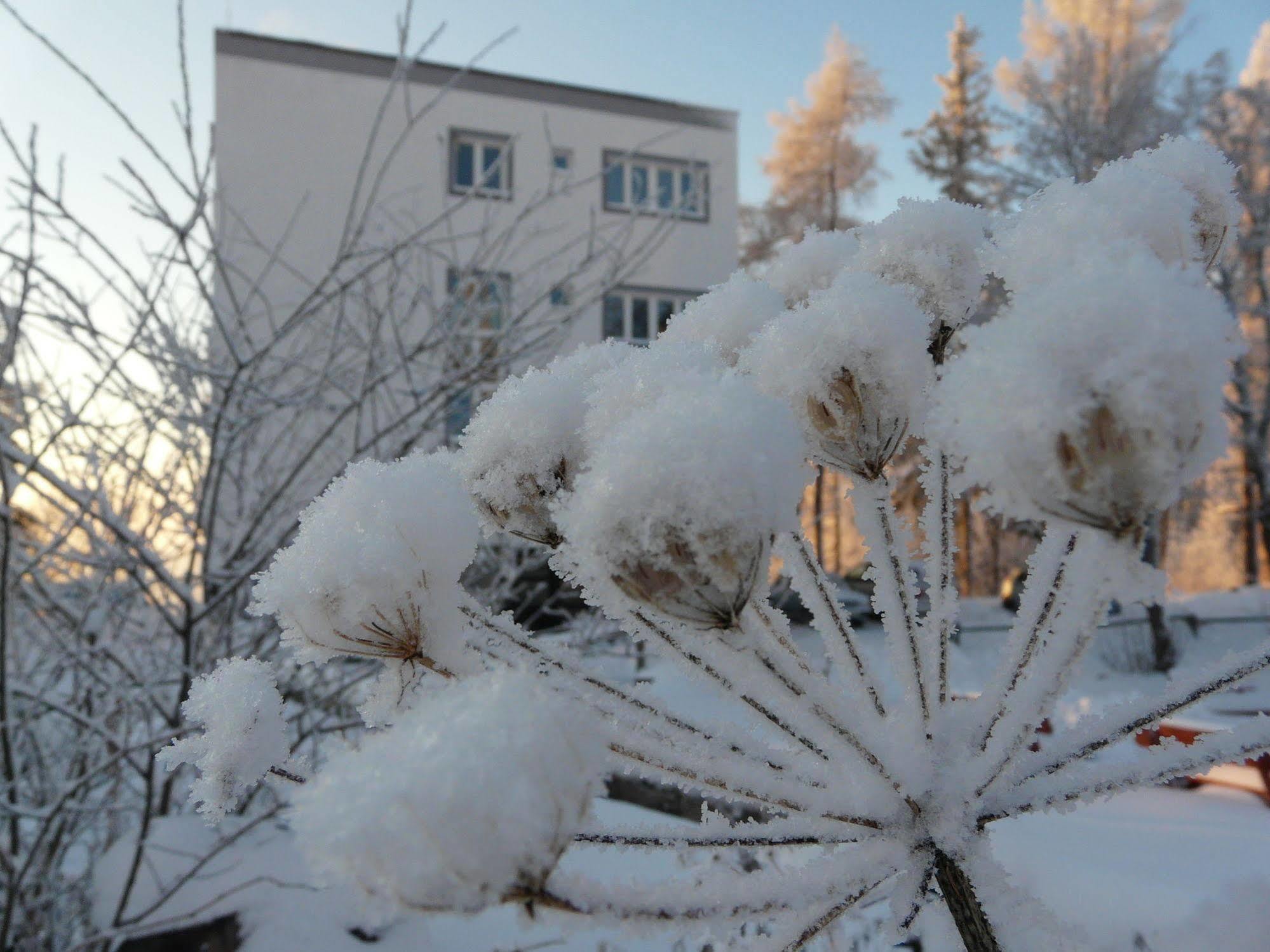 Vila Emma Štrbské Pleso Exteriör bild